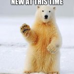 hello polar bear | HELLO TO THE PEOPLE WHO SELECTED NEW AT THIS TIME | image tagged in hello polar bear | made w/ Imgflip meme maker