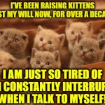 My cat interrupts me all the time. | I'VE BEEN RAISING KITTENS AGAINST MY WILL NOW, FOR OVER A DECADE.😱; I AM JUST SO TIRED OF THEM CONSTANTLY INTERRUPTING ME WHEN I TALK TO MYSELF!🙄 | image tagged in kittens,cats | made w/ Imgflip meme maker