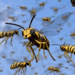Wasp Swarm template