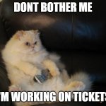 Fat Cat Watching TV Black Couch | DONT BOTHER ME; I'M WORKING ON TICKETS | image tagged in fat cat watching tv black couch | made w/ Imgflip meme maker