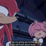 amy im not going any further if you talk trash about sonic