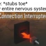 Connection Interrupted | Me: *stubs toe*
My entire nervous system: | image tagged in connection interrupted,memes,relatable,funny | made w/ Imgflip meme maker