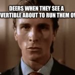 wow | DEERS WHEN THEY SEE A CONVERTIBLE ABOUT TO RUN THEM OVER | image tagged in gifs,animals,memes,true story,american physco | made w/ Imgflip video-to-gif maker