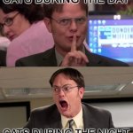 cats | CATS DURING THE DAY; CATS DURING THE NIGHT | image tagged in quiet yelling | made w/ Imgflip meme maker