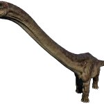 Dreadnoughtus 4 (JWD Design)
