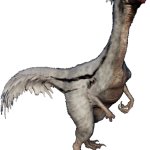 Oviraptor 5 (JWD Design)