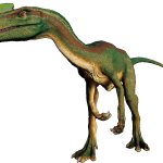 Proceratosaurus (JWE Design)