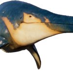 Shonisaurus (JWE Design)