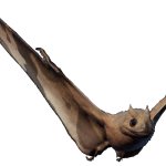 Jeholopterus 2 (JWE Design)