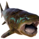 Dunkleosteus 2 (JWE Design) meme