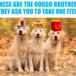 Doggo brothers meme