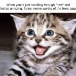 happy cat | When you're just scrolling through "new" and find an amazing, funny meme worthy of the front page | image tagged in happy cat | made w/ Imgflip meme maker
