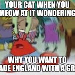 When you meow at your cat *not original* | YOUR CAT WHEN YOU MEOW AT IT WONDERING; WHY YOU WANT TO INVADE ENGLAND WITH A GRAPE | image tagged in mr crabs | made w/ Imgflip meme maker