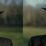 Oppenheimer
