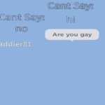 Can't Say No to Gays