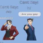 Wrightworth Canon | image tagged in can't say no to gays | made w/ Imgflip meme maker