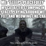 Get the hell outta my face fluff-ball! | ME: *SLEEPS PEACEFULLY*; MY CAT AFTER STOMPING IN MY FACE, PLAYING AROUND WITH MY FEET AND MEOWING LIKE CRAZY: | image tagged in your finally awake,cats,sleep,funny,memes,dank memes | made w/ Imgflip meme maker