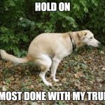 Hold On - Almost Done With My Trump | HOLD ON; ALMOST DONE WITH MY TRUMP | image tagged in dog pooping | made w/ Imgflip meme maker