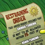 Restraining For Shingo | SHINGO TSUKINO; USAGI TSUKINO | image tagged in spongebob restraining order | made w/ Imgflip meme maker