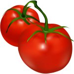 Tomato