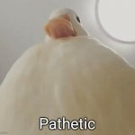 Pathetic | Pathetic | image tagged in pathetic duck 1 | made w/ Imgflip meme maker