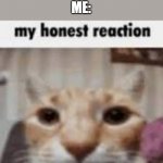 whatever homework only counts for 10% of the grade | TEACHER: YOU GOT A D-
ME: | image tagged in my honest reaction,cat,cats,reaction,teacher,school | made w/ Imgflip meme maker