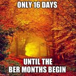 Only 16 days until the Ber Months begin | ONLY 16 DAYS; UNTIL THE BER MONTHS BEGIN | image tagged in autumn walk | made w/ Imgflip meme maker