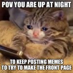 I still can’t | POV YOU ARE UP AT NIGHT; TO KEEP POSTING MEMES TO TRY TO MAKE THE FRONT PAGE | image tagged in crying cat on phone | made w/ Imgflip meme maker