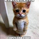 Just to make ur day :) | A TINY CUTE KITTEN; JUST FOR YOU! | image tagged in cute cat standing,happy,have a good day | made w/ Imgflip meme maker