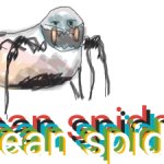 Bean Spider meme