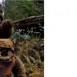 ewok drake