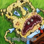 D(r)ying Sponge | D ying Sponge; r | image tagged in spongebob dry | made w/ Imgflip meme maker