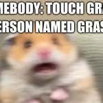 WAIT NO | SOMEBODY: TOUCH GRASS; PERSON NAMED GRASS: | image tagged in screaming hampster | made w/ Imgflip meme maker