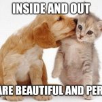 Puppy kisses kitten | INSIDE AND OUT; YOU ARE BEAUTIFUL AND PERFECT | image tagged in puppy kisses kitten | made w/ Imgflip meme maker