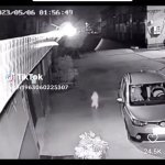 Cat on cctv dancing GIF Template