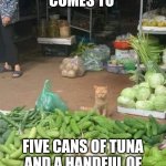 Pay the cat | YOUR TOTAL COMES TO; FIVE CANS OF TUNA AND A HANDFUL OF CRUNCHY CAT TREATS | image tagged in vendor cat,cat,cute cat,angry cat | made w/ Imgflip meme maker