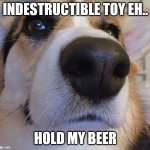 Lando Close Up | INDESTRUCTIBLE TOY EH.. HOLD MY BEER | image tagged in lando close up | made w/ Imgflip meme maker