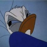 Angry Donald Duck in Bed meme