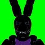 Spring Bonnie Stare