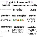 weeeee | pan; she/her; good-soldiers-follow-orders; 🐉🐺🎃👽🐎; anything but pink; cis female; imgflip, tumblr; sock; but you have heard of me | image tagged in get to know me | made w/ Imgflip meme maker