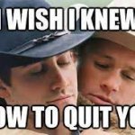 I Wish I Knew How to Quit U