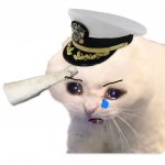 Saluting Navy Cat