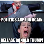 Dr Evil and Frau Yelling | POLITICS ARE FUN AGAIN; RELEASE DONALD TRUMP! | image tagged in dr evil and frau yelling | made w/ Imgflip meme maker