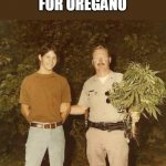 he got arrested for oregano | HE GOT ARRESTED FOR OREGANO | image tagged in arrested,funny,marijuana,police,cops | made w/ Imgflip meme maker