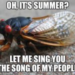 Cicada | OH, IT'S SUMMER? LET ME SING YOU THE SONG OF MY PEOPLE | image tagged in cicada | made w/ Imgflip meme maker