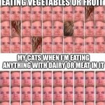 “Hoomin,give the pizza up right now or else I’ll beat the shit out of you.” | MY CATS WHEN I’M EATING VEGETABLES OR FRUIT; MY CATS WHEN I’M EATING ANYTHING WITH DAIRY OR MEAT IN IT | image tagged in crowd stare,cats | made w/ Imgflip meme maker