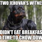 Doggo wants to eat | I SEE TWO JEHOVAH'S WITNESSES; I DIDN'T EAT BREAKFAST SO TIME TO CHOW DOWN | image tagged in mean doggo,jehovah's witness,hungry dog | made w/ Imgflip meme maker