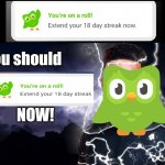 Yes... | NOW! You should | image tagged in you should kill yourself now,memes,duolingo,duolingo day streak,yes honey,funny | made w/ Imgflip meme maker