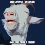Funny goat | DISCERNING STONER GOAT; ONLY EATS DELTA 9 EDIBLES | image tagged in funny goat | made w/ Imgflip meme maker