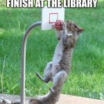 urban squirrel chews the coax | GUESS YOU'LL FINISH AT THE LIBRARY; BITCH | image tagged in squirrel,urban,basketball,coax,cable | made w/ Imgflip meme maker